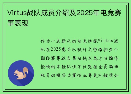 Virtus战队成员介绍及2025年电竞赛事表现